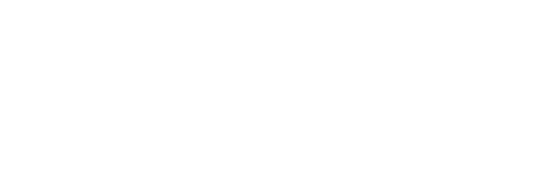 nGROUP Performance Partners